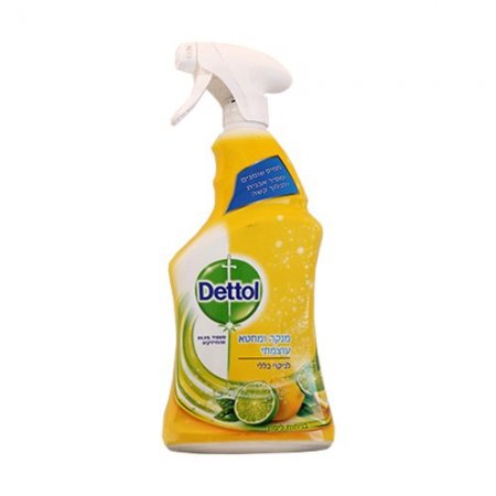 Dettol Powerful General Cleaner 750ml