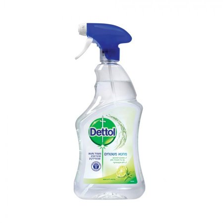 Dettol Surface Cleanser Lime&Mint 750ml